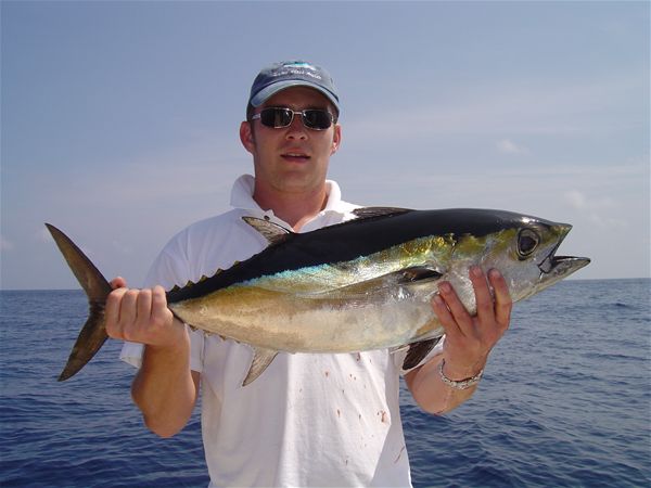Mike's Black Fin Tuna